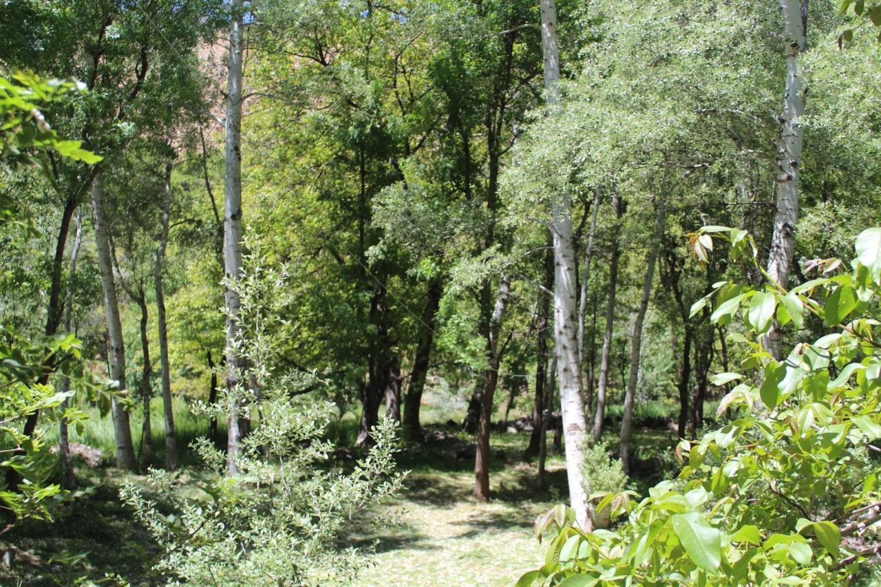 Auberge Toubkal Amsouzart Aitst Idar Tizgui Bagian luar foto